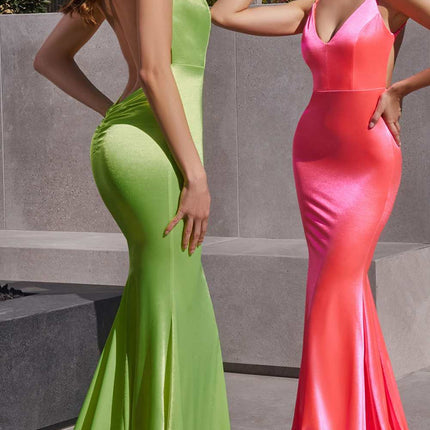 Astee SE016 Long Fitted Semi Formal Gown by Cinderella Divine