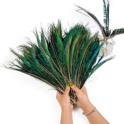 Wholesale Real Peacock Feathers (50-100/lot)