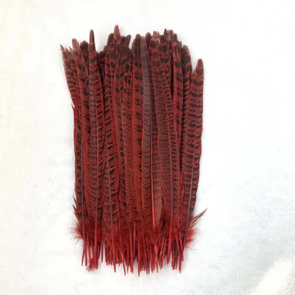 Natural Female Pheasant Tail Feathers (100PCS)
