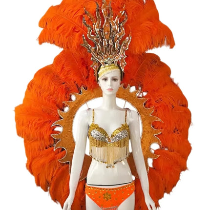 Feathered Carnival Headdress and Backpack Wing Set