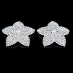 Silver Star / China Mainland