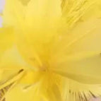 Lemon Yellow