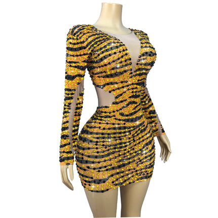 Tiger Print Rhinestone Mesh Long-Sleeve Mini Dress Deep V-Neck Stage Costume