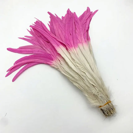 50PCS Two-Tone Rooster Tail Feathers (35-40CM)