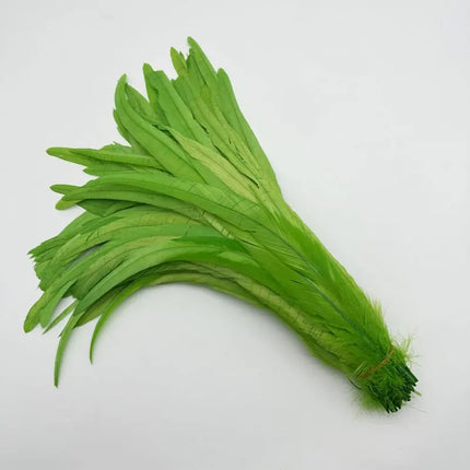 50PCS Two-Tone Rooster Tail Feathers (35-40CM)