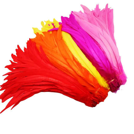 50pcs Natural Rooster Tail Feather Plumes