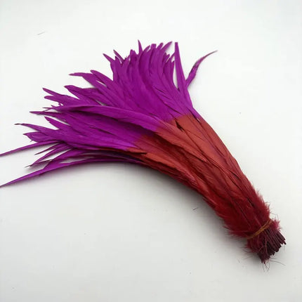 50PCS Two-Tone Rooster Tail Feathers (35-40CM)