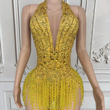 Crystal Rhinestone Fringe Sleeveless Bodysuit & Aerial Dance Leotard Costume