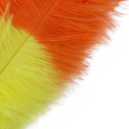 10PC Two-Tone Decorative Feather Plumes