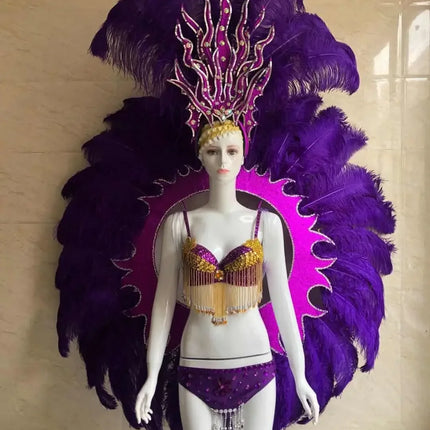 Feathered Carnival Headdress and Backpack Wing Set