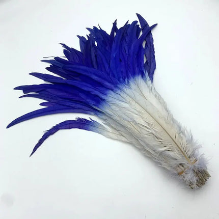 50PCS Two-Tone Rooster Tail Feathers (35-40CM)