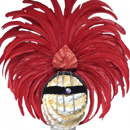 Feather headdress samba costume carnival halloween party bar performance hat makeup dance wings parade