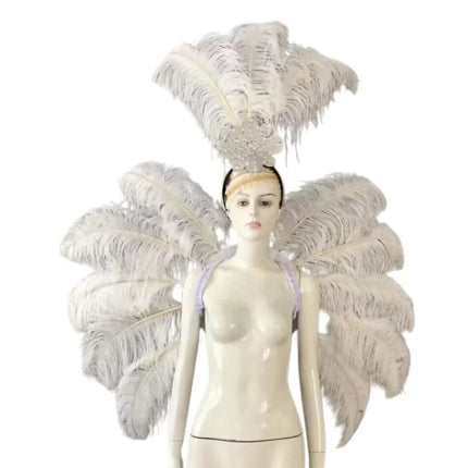 Feather Backpiece and Plume Headdress Set