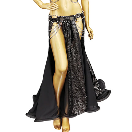 Sparkly Sequined Appliqué Belly Dance Long Performance Skirt