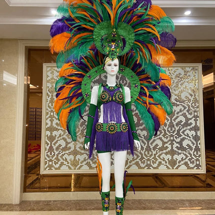 Regal Feathered Backpiece and Rhinestone Costume Set