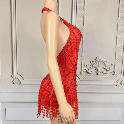 Crystal Rhinestone Fringe Sleeveless Bodysuit & Aerial Dance Leotard Costume