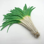 Green White / 35-40CM