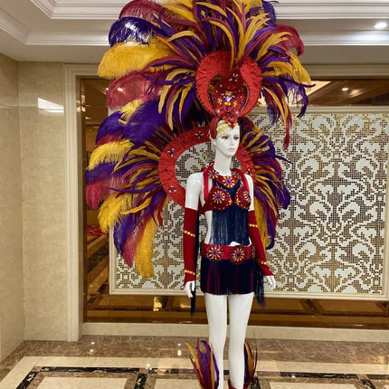 Regal Feathered Backpiece and Rhinestone Costume Set