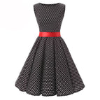 Dot D / Adult S