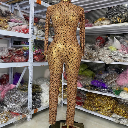 Leopard Print Rhinestone Catsuit Long Sleeve Stage Performance Jumpsuit