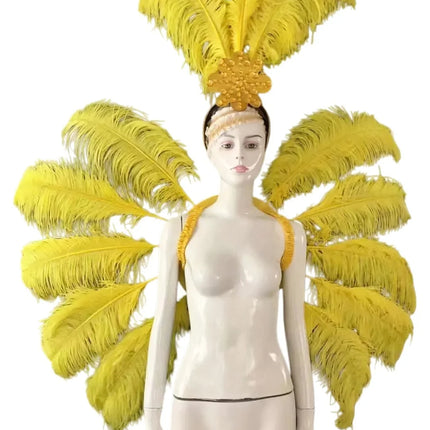 Feather Backpiece and Plume Headdress Set