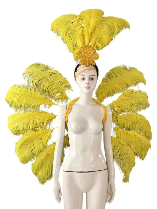 Feather Backpiece and Plume Headdress Set