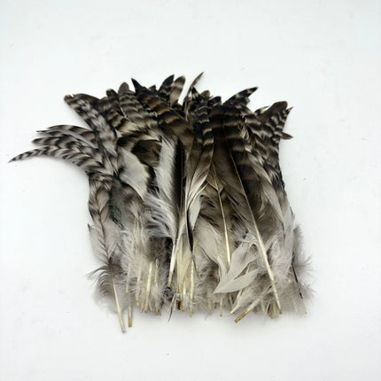 100PCS Natural Barred Rooster Tail Feathers (15-45CM)