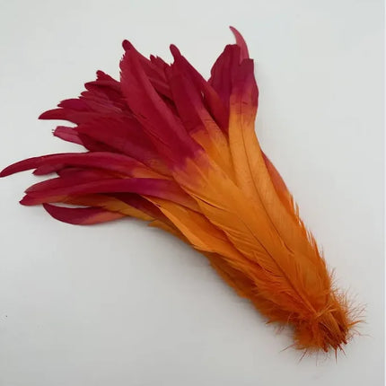 50PCS Two-Tone Rooster Tail Feathers (35-40CM)