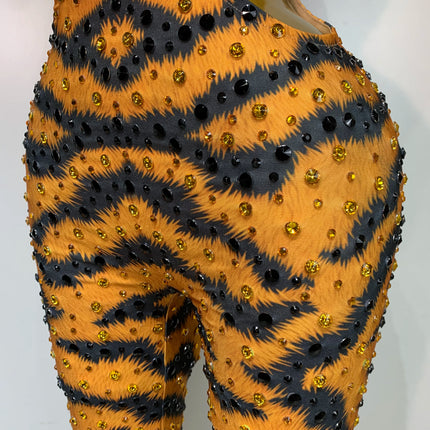 Tiger Print Rhinestone Catsuit Illusion Mesh Long-Sleeve Jumpsuit Stage Performance Costume