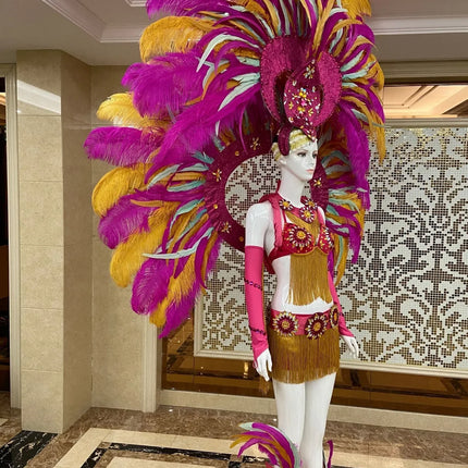 Regal Feathered Backpiece and Rhinestone Costume Set