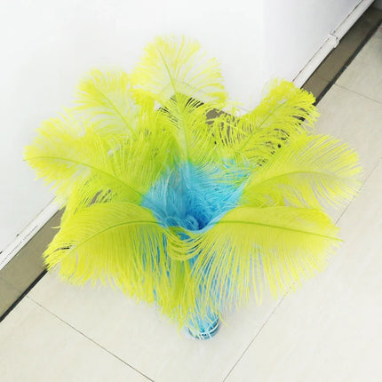 10PC Two-Tone Decorative Feather Plumes