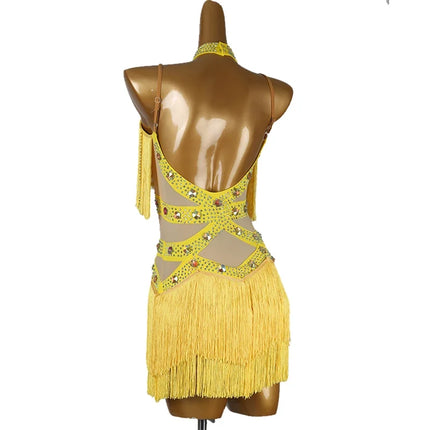 Professional Latin Dance Competition Dress & Tassel Fringe Performance Outfit