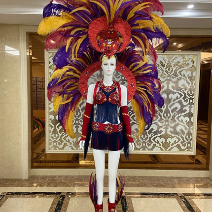 Regal Feathered Backpiece and Rhinestone Costume Set