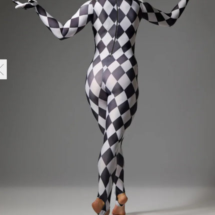 Harlequin Diamond Lattice Catsuit & Bodysuit Asymmetrical Circus Stage Costume