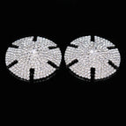 Silver Type 1 / China Mainland