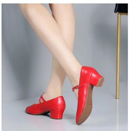 The Stardust Carousel Mary Jane – Classic Low-Heel Dance Pump