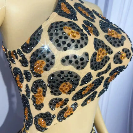 Leopard Print Rhinestones High Split Bodycon Dress Evening Party Stage Performance Outfit