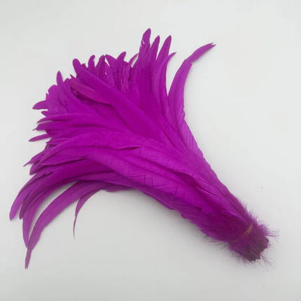 50PCS Two-Tone Rooster Tail Feathers (35-40CM)