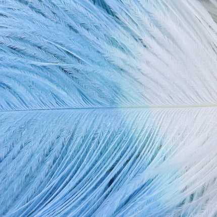 10PC Two-Tone Decorative Feather Plumes