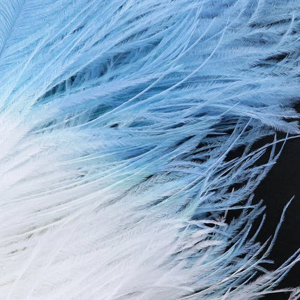 10PC Two-Tone Decorative Feather Plumes