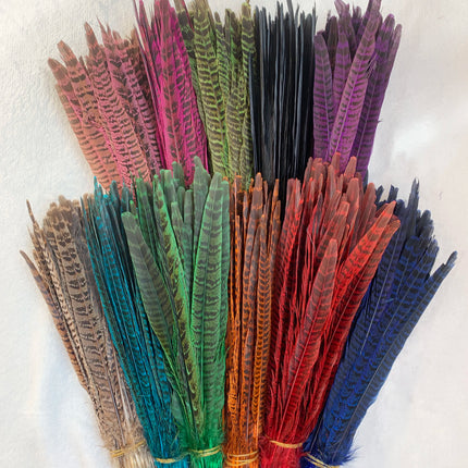 Natural Female Pheasant Tail Feathers (10pcs/lot)