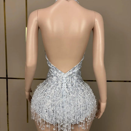 Crystal Rhinestone Fringe Sleeveless Bodysuit & Aerial Dance Leotard Costume