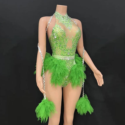 Rhinestone Feather Embellished Bodysuit & Showgirl Stage Dance Costume