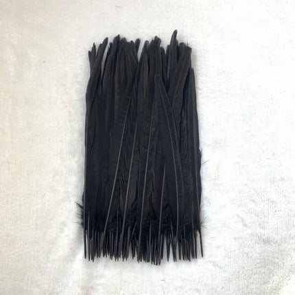 Natural Female Pheasant Tail Feathers (10pcs/lot)