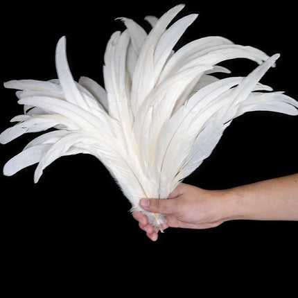 100PCS Natural Rooster Tail Feathers (25-40CM)
