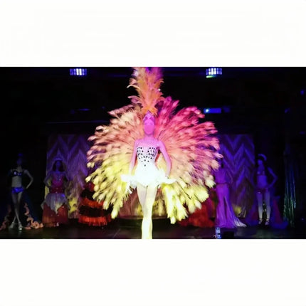 The Stardust Victoria Cabaret – Deluxe Angel Feather Wing & Headdress Stage Costume Set