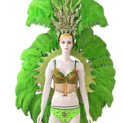 Feathered Carnival Headdress and Backpack Wing Set