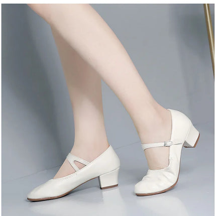 The Stardust Carousel Mary Jane – Classic Low-Heel Dance Pump