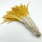 Gold Yellow White / 35-40CM