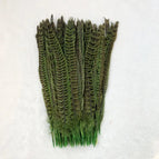 Apple Green / 25-30CM